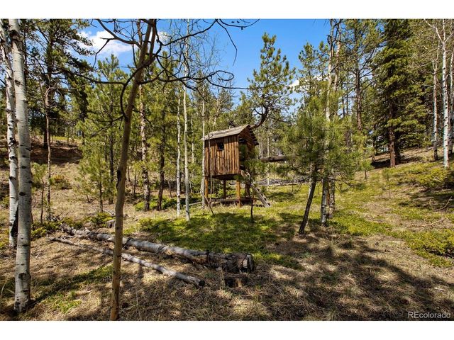 1011 W Bison Creek Trl, Divide, CO 80814