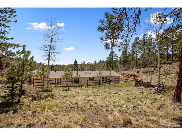 1011 W Bison Creek Trl, Divide, CO 80814
