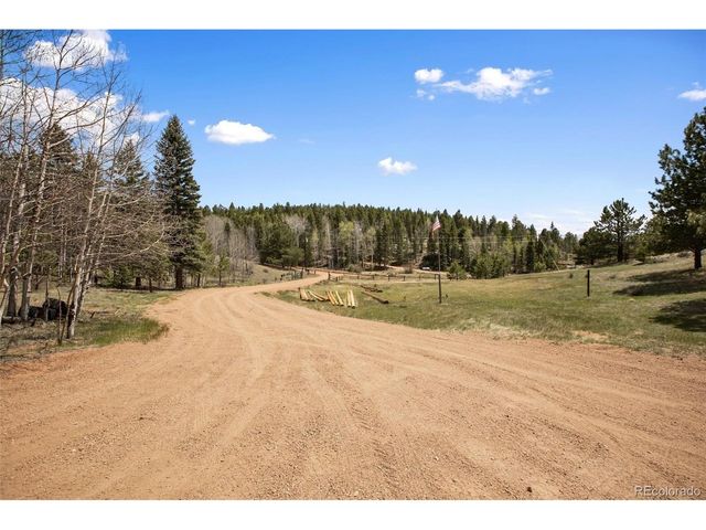 1011 W Bison Creek Trl, Divide, CO 80814