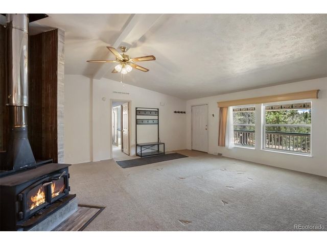 1011 W Bison Creek Trl, Divide, CO 80814