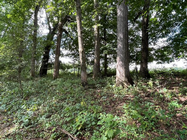 12600 Gilchrist Road, Mount Vernon, OH 43050