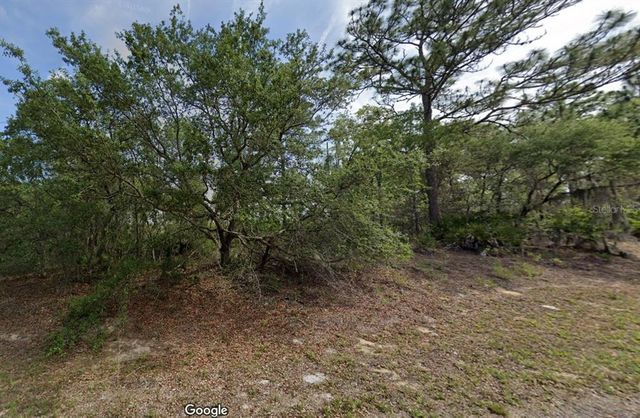 6761 N DARLINGTON DRIVE, Dunnellon, FL 34434