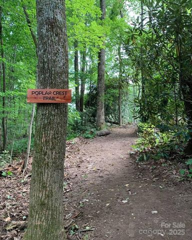 6 Laurel Ledge Way LOT 17, Fletcher, NC 28732
