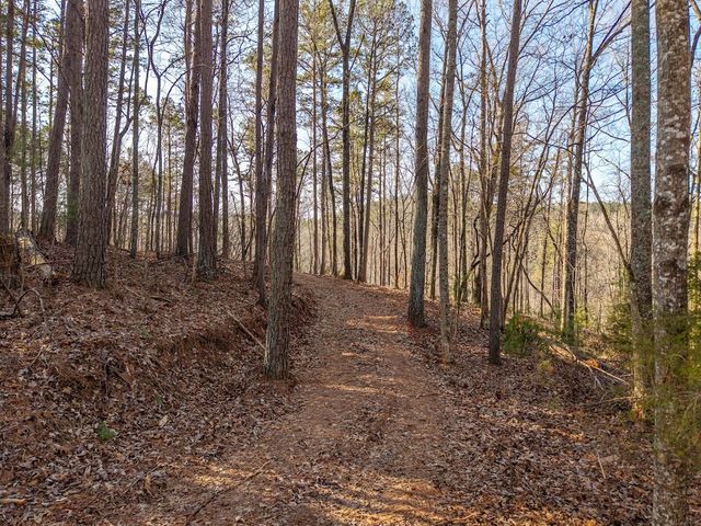 1665 Hunter Drive, Talking Rock, GA 30175