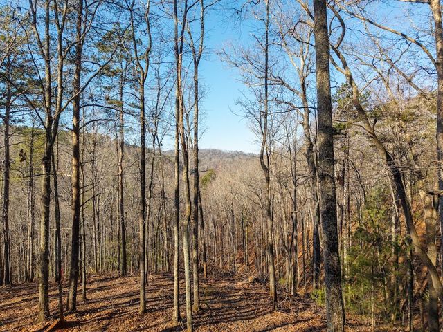 1665 Hunter Drive, Talking Rock, GA 30175