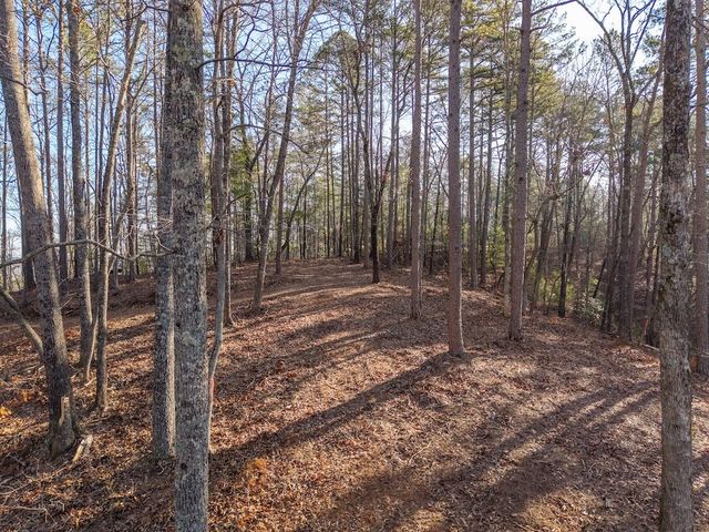 1665 Hunter Drive, Talking Rock, GA 30175