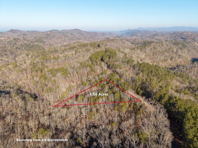 1665 Hunter Drive, Talking Rock, GA 30175