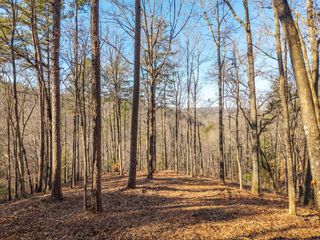 1665 Hunter Drive, Talking Rock, GA 30175