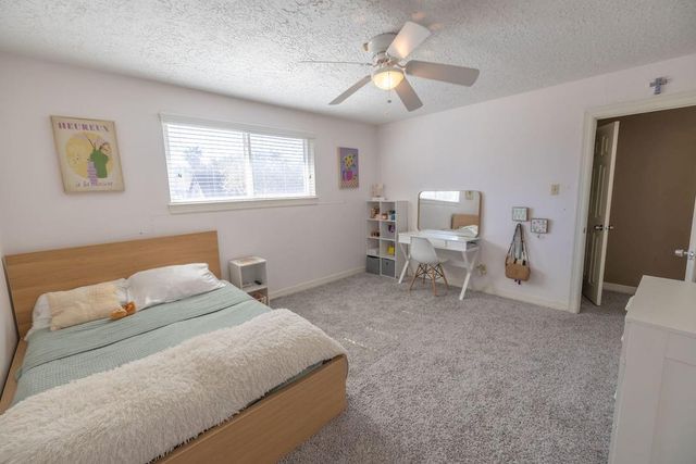 11918 Dorrance Lane, Meadows Place, TX 77477