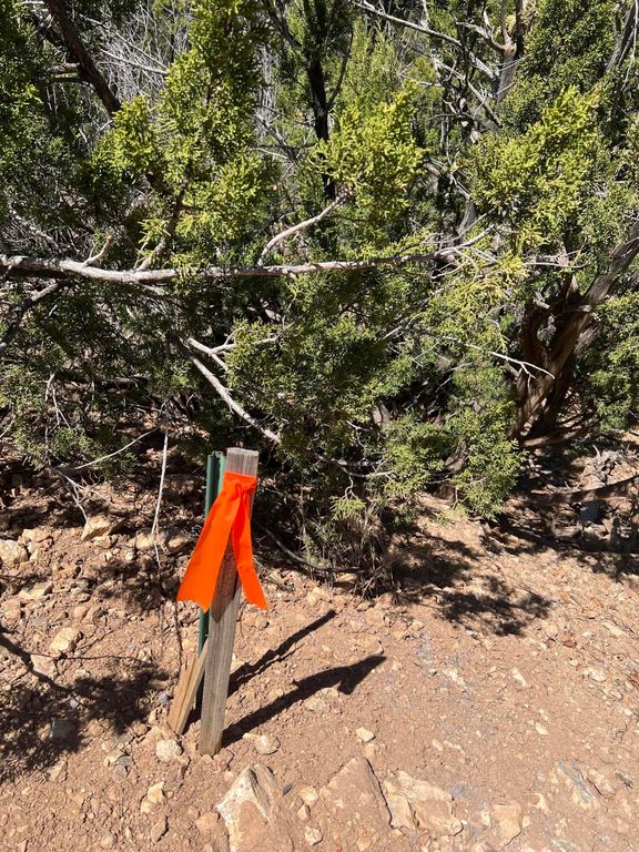 Image 8 of property listing at 1A1A Calle Pinon, Jemez Springs, NM 87025