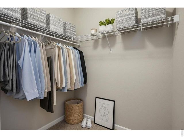 1003 Schlagel St 7, Fort Collins, CO 80524