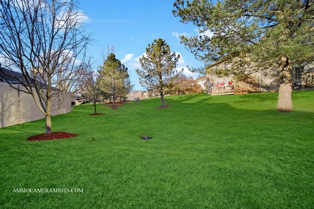 897 Dorsetshire Drive 897, Crete, IL 60417