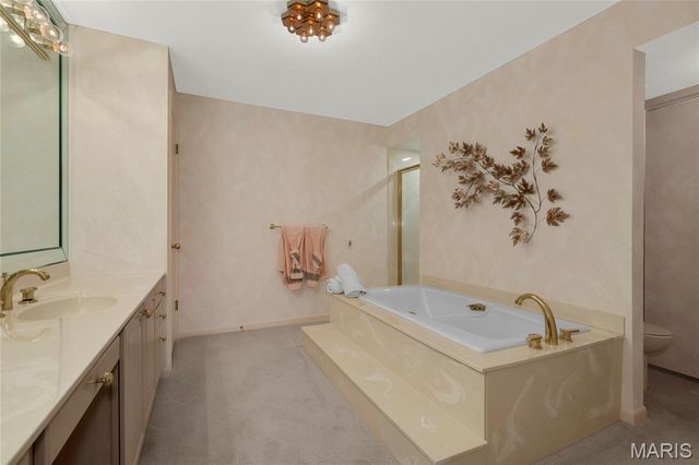 585 Coeur De Royale Drive 206, Creve Coeur, MO 63141