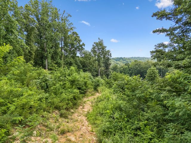 1065 Sioux Trail, Pegram, TN 37143