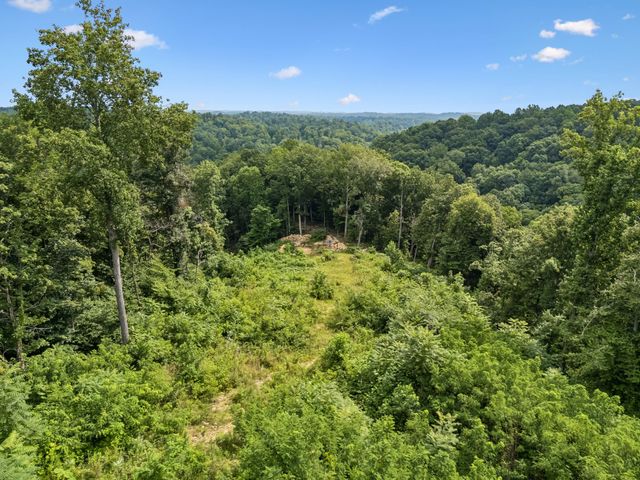 1065 Sioux Trail, Pegram, TN 37143