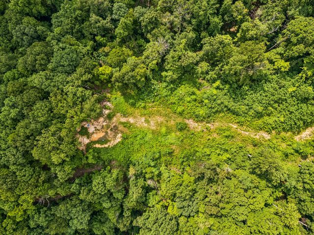 1065 Sioux Trail, Pegram, TN 37143