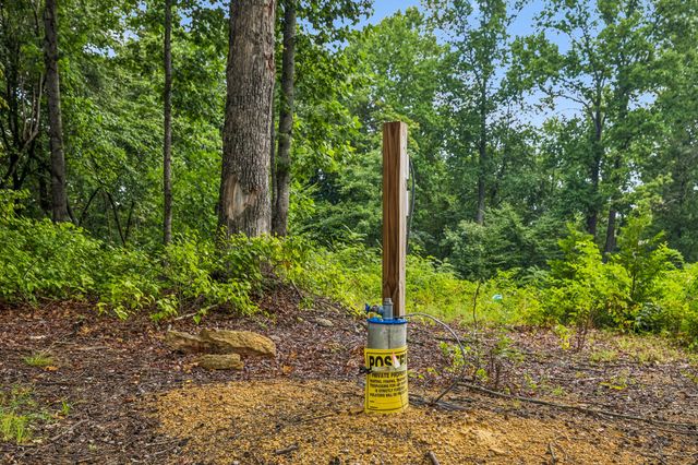 1065 Sioux Trail, Pegram, TN 37143
