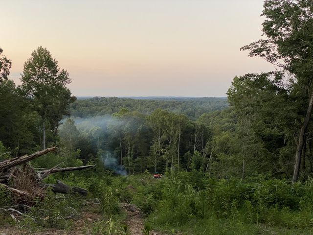 1065 Sioux Trail, Pegram, TN 37143
