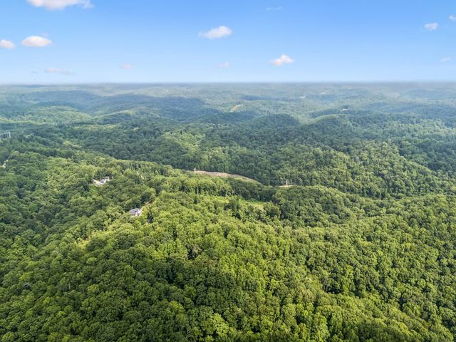 1065 Sioux Trail, Pegram, TN 37143