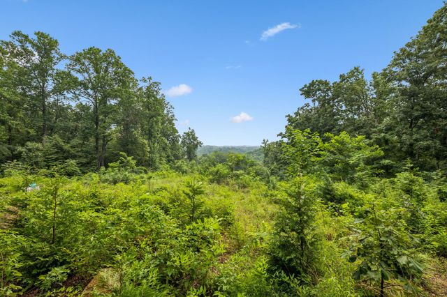 1065 Sioux Trail, Pegram, TN 37143