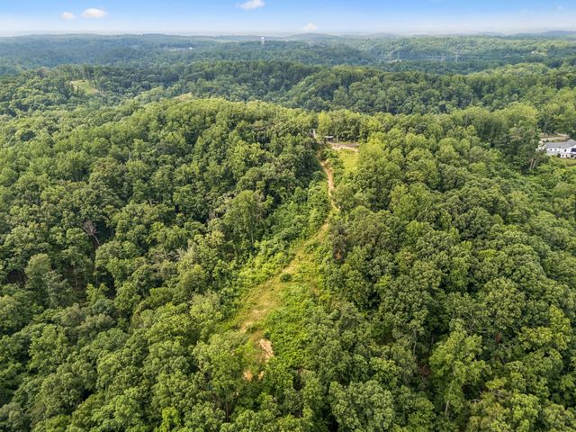 1065 Sioux Trail, Pegram, TN 37143
