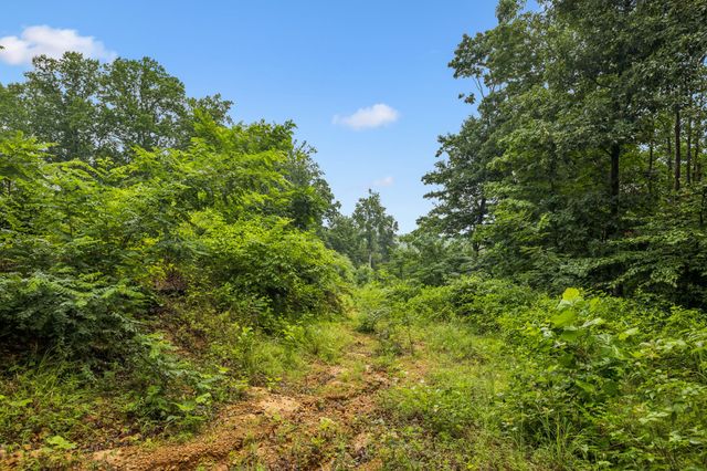 1065 Sioux Trail, Pegram, TN 37143
