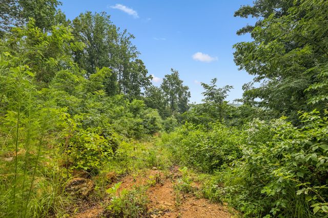 1065 Sioux Trail, Pegram, TN 37143
