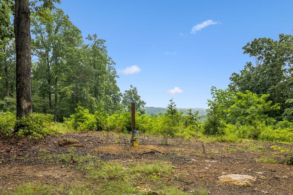 1065 Sioux Trail, Pegram, TN 37143