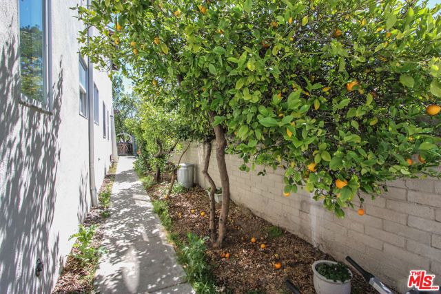 223 N Cordova Street 1, Burbank, CA 91505