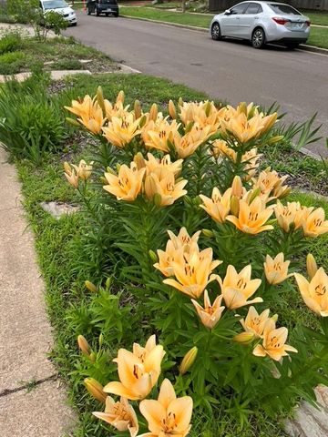 318 College Avenue, Norman, OK 73069