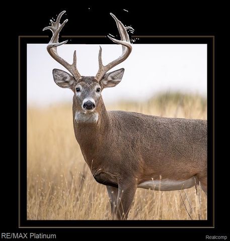 1286 Gray Fox Court, Howell, MI 48843