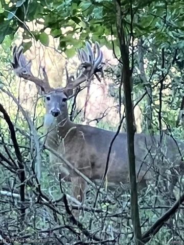 1286 Gray Fox Court, Howell, MI 48843