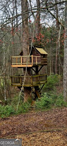 3800 Cutcane Road, Mineral Bluff, GA 30559