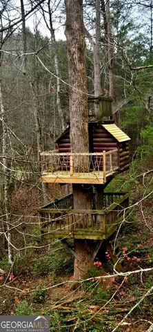 3800 Cutcane Road, Mineral Bluff, GA 30559