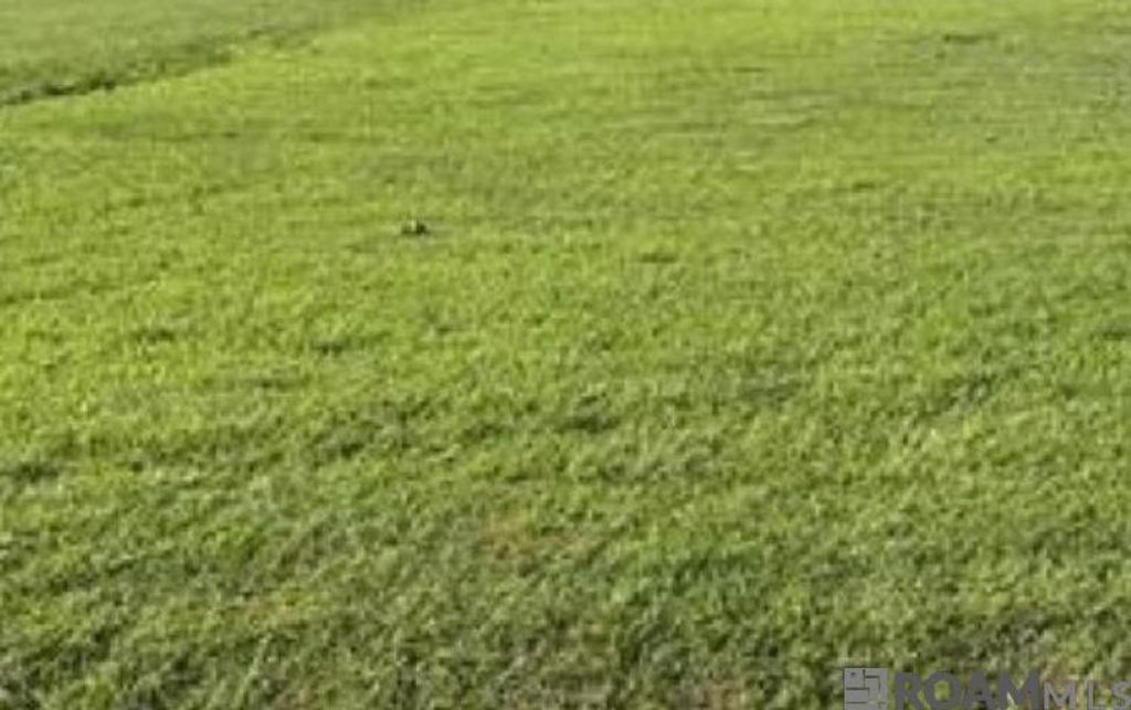 Greely Rd, Baton Rouge, LA 70807