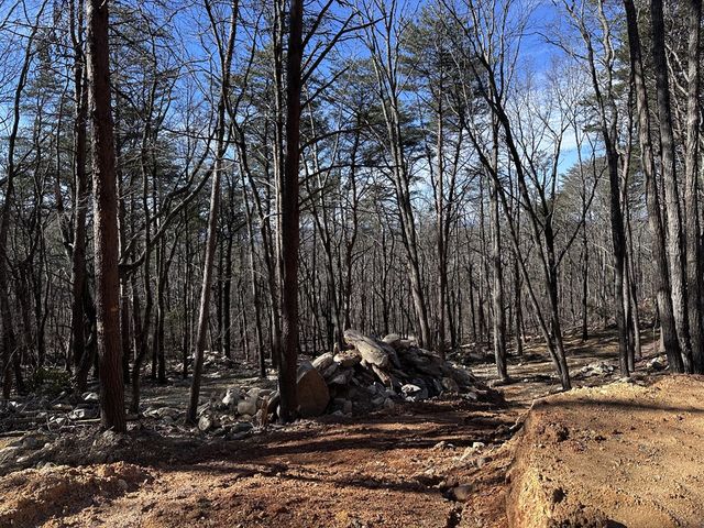 1776 Mulberry Circle, Jasper, GA 30143