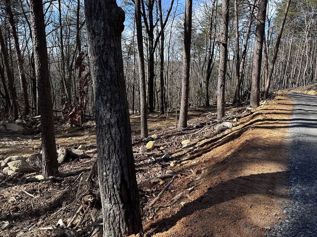 1776 Mulberry Circle, Jasper, GA 30143