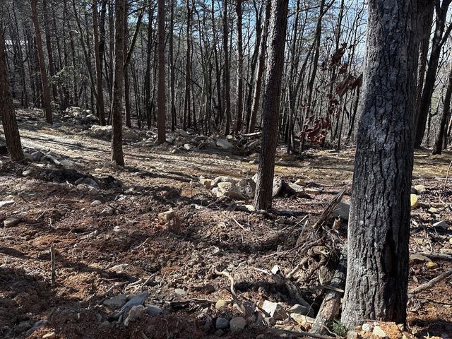 1776 Mulberry Circle, Jasper, GA 30143