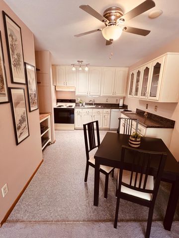 4010 15th Avenue S 12D, Minneapolis, MN 55407