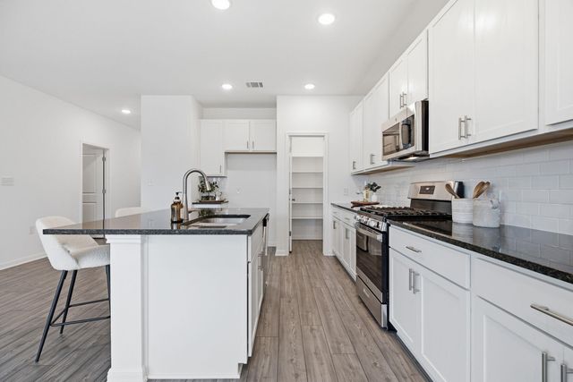 1325 Alana Falls Ave, Pflugerville, TX 78660