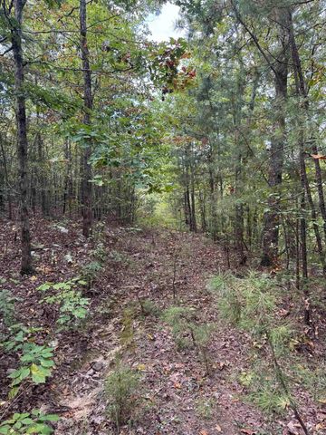 000 HWY 65, Clinton, AR 72031