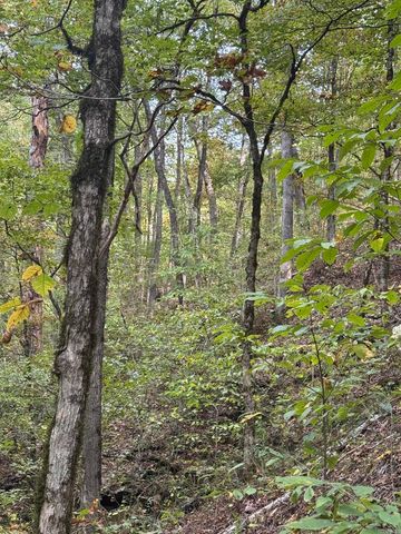 000 HWY 65, Clinton, AR 72031