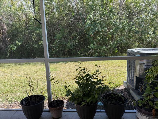 11253 WINDSOR PLACE CIRCLE, Tampa, FL 33626