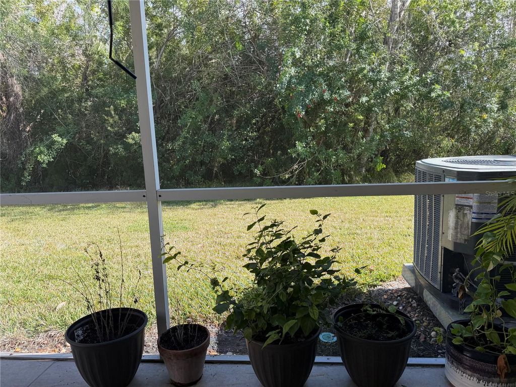 Image 20 of property listing at 11253 WINDSOR PLACE CIRCLE, Tampa, FL 33626