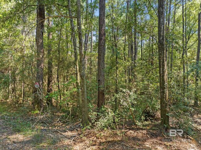 6917 Old Citronelle Highway, Eight Mile, AL 36613