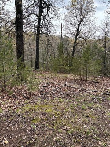 TBD N Lakewood Drive, Lowell, AR 72745