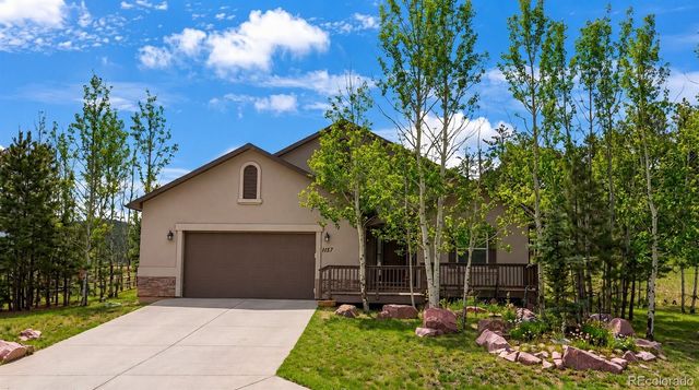 1157 Ptarmigan Drive, Woodland Park, CO 80863