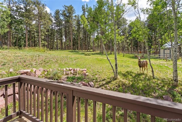 1157 Ptarmigan Drive, Woodland Park, CO 80863