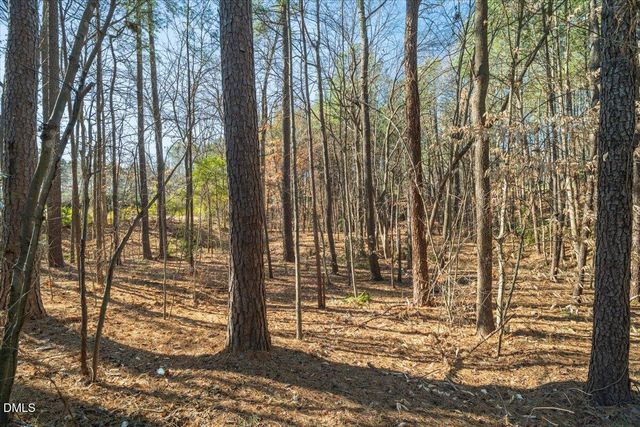 136 Orchard Park Drive, Cary, NC 27513