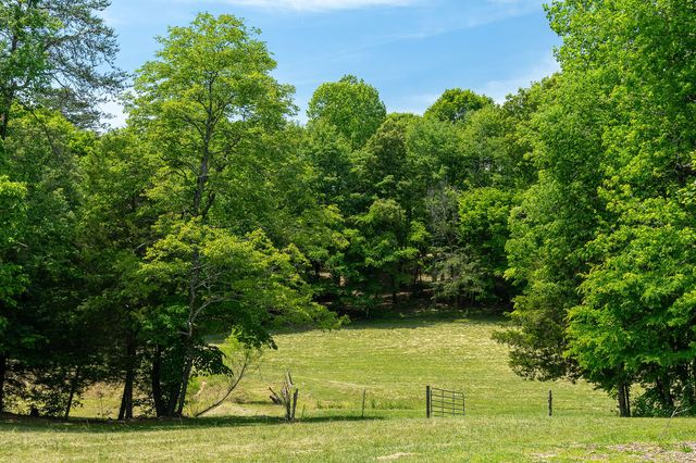 29 Acres Standing Stone Hwy, Hilham, TN 38568